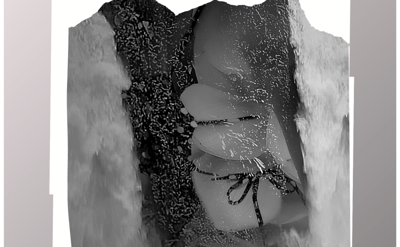 The Naked Truth: Uncovered, Unvarnished, Un-sculpted, Authentic. The&nbsp;Culmination.